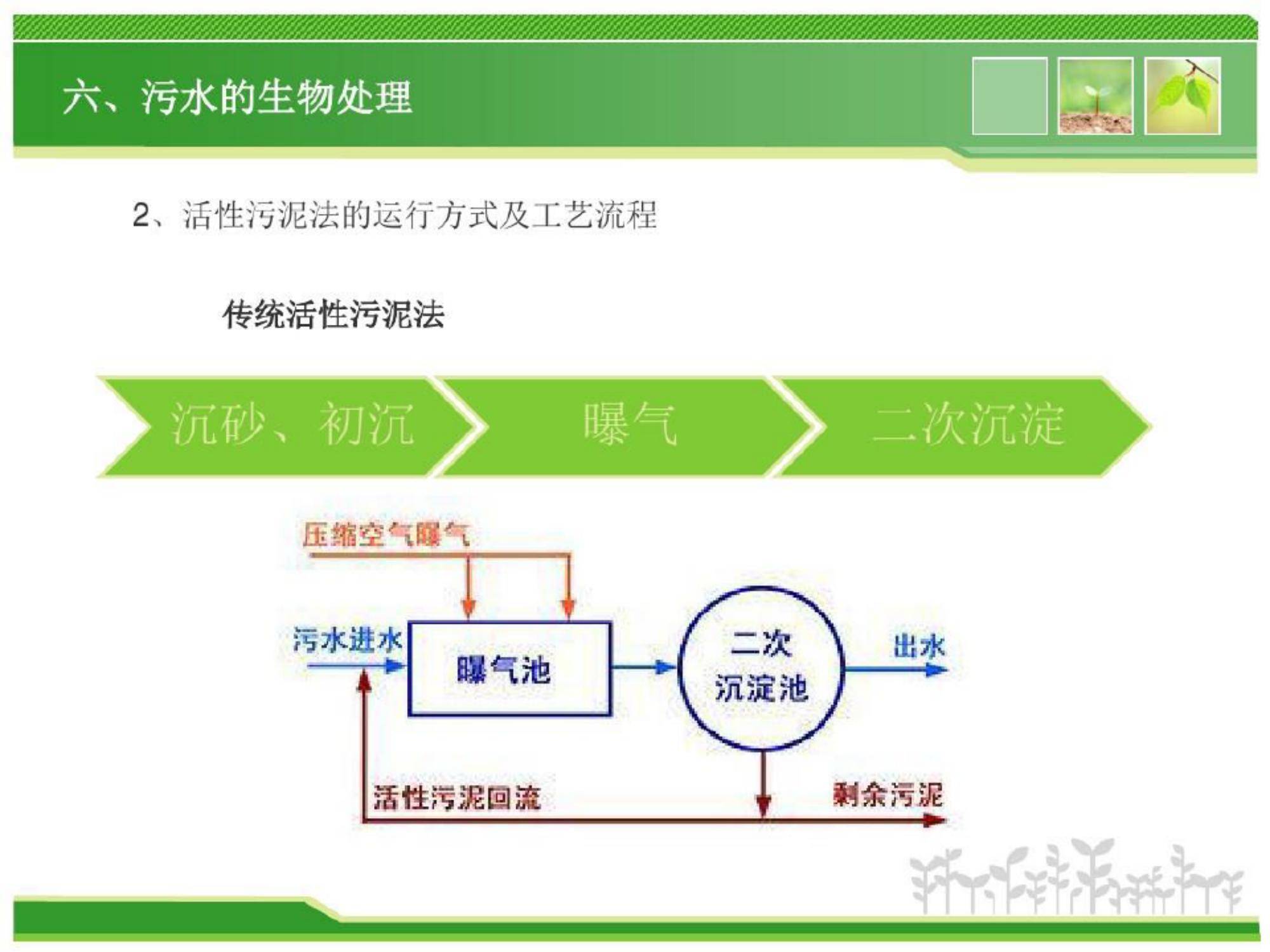 污水的生物处理