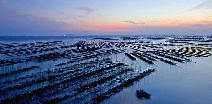 空气能为海产养殖发展助力