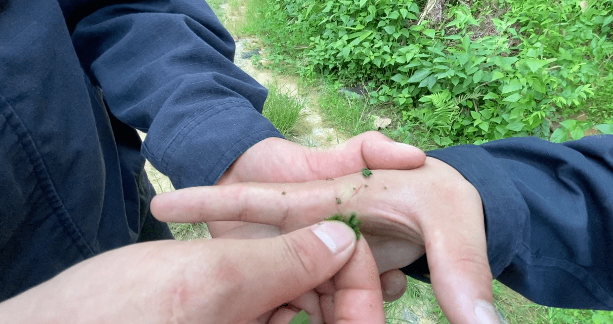 他们在高山上比较谁脚力的钢钉更多