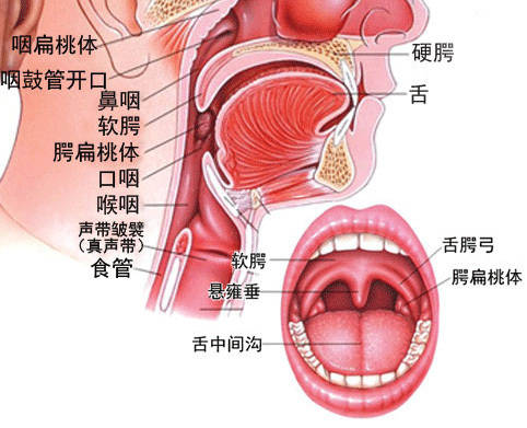 是健康出现问题了吗?