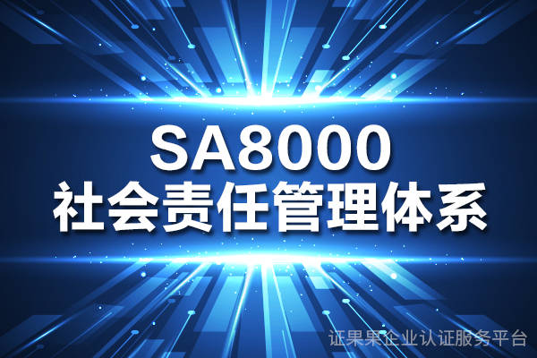 sa8000社会责任体系认证简介_组织