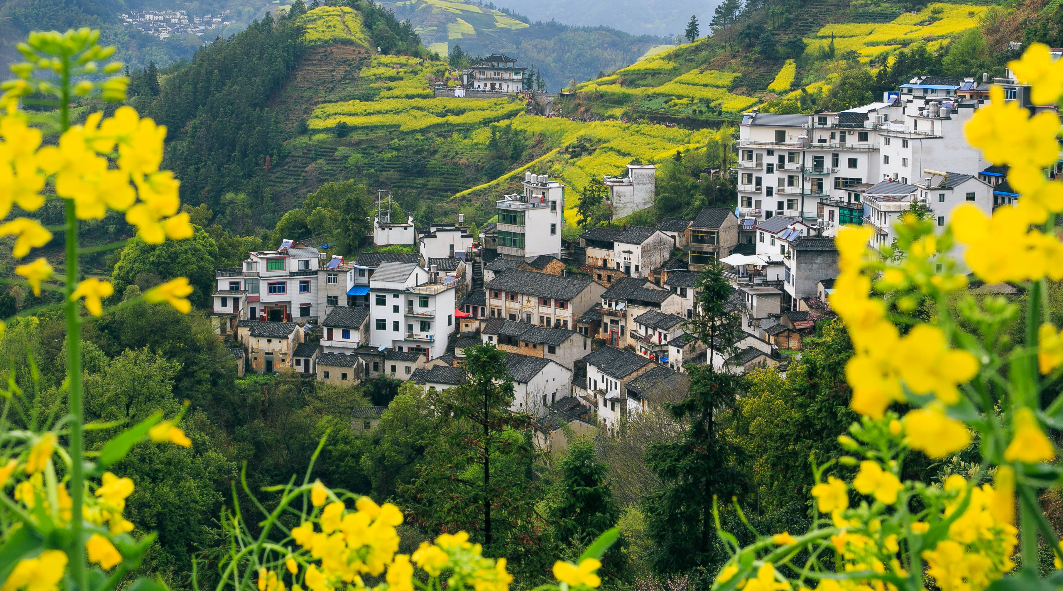 中国最美乡村婺源旅游攻略篁岭晒秋