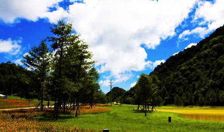 红池坝国家森林公园美景