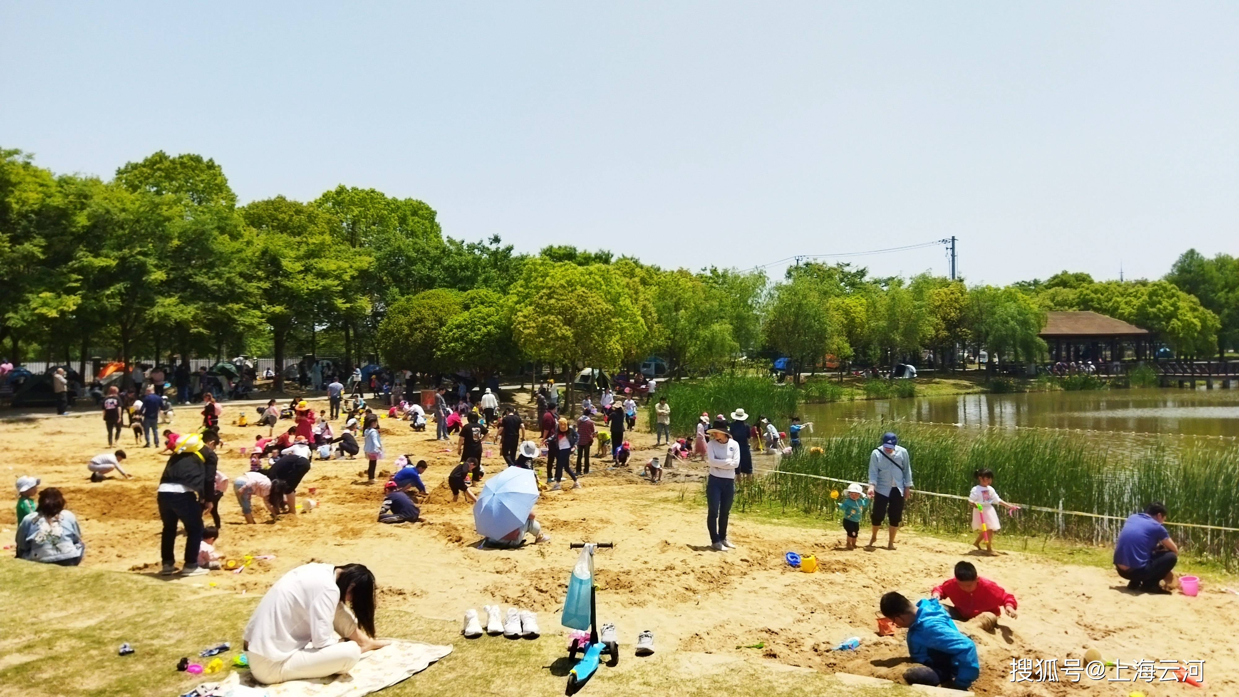 上海浦东,金海湿地公园,夏日(1)
