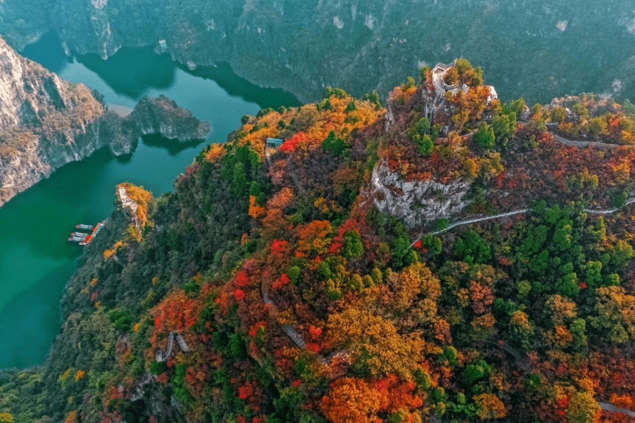 重阳王维诗歌唱响云台山茱萸峰