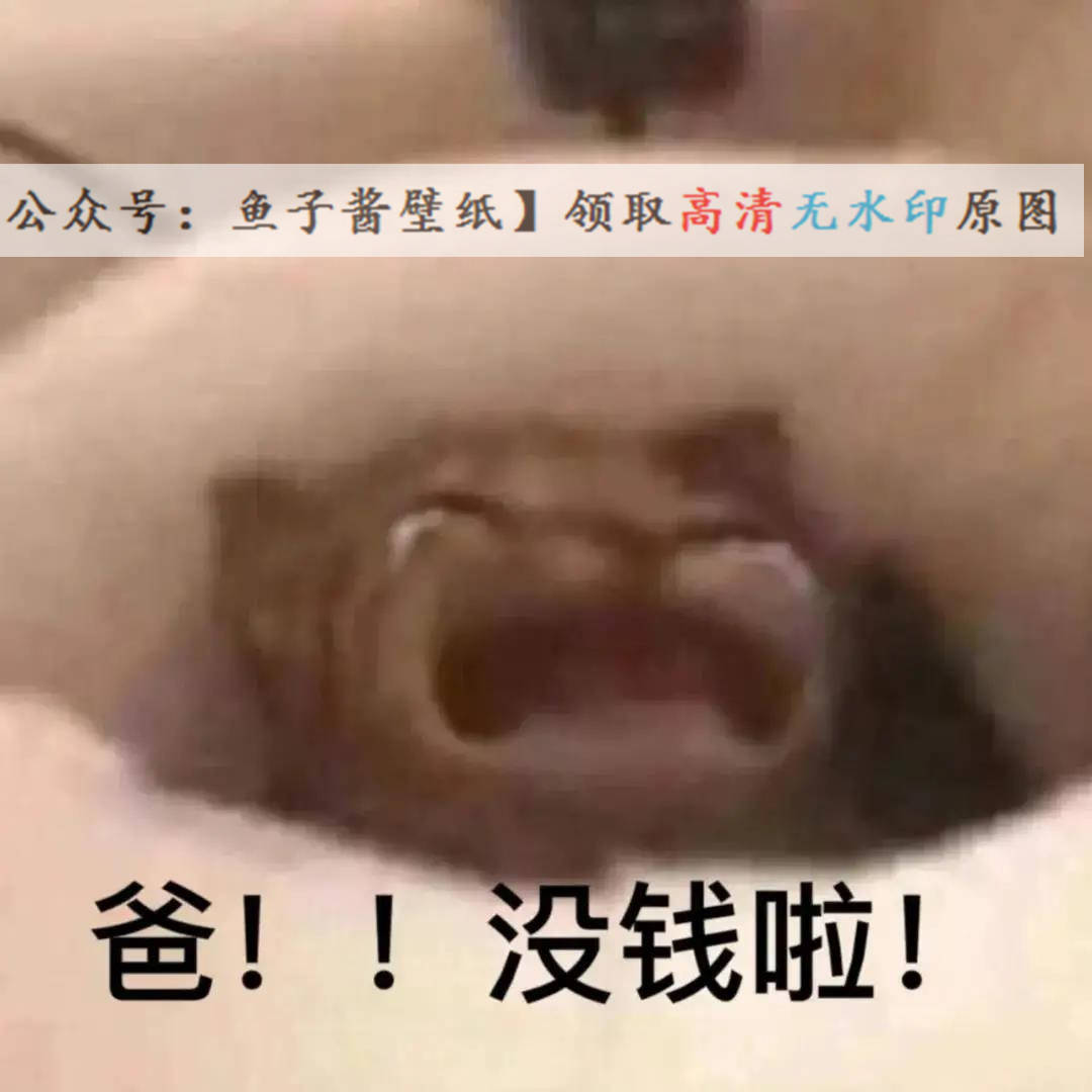 爸没钱了妈没钱了抖音热门表情包