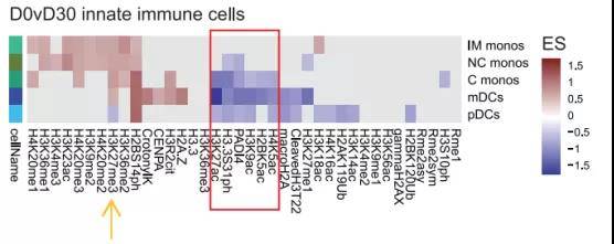 位于骨髓内,能分化为造血祖细胞(hematopoietic progenitor cells)