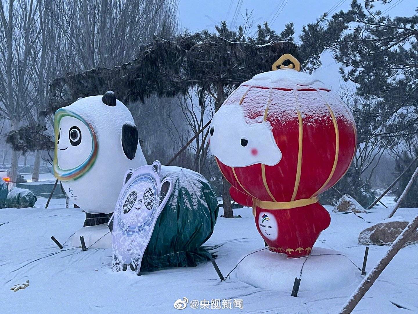 组图北京下雪了红灯笼都变成了雪容融