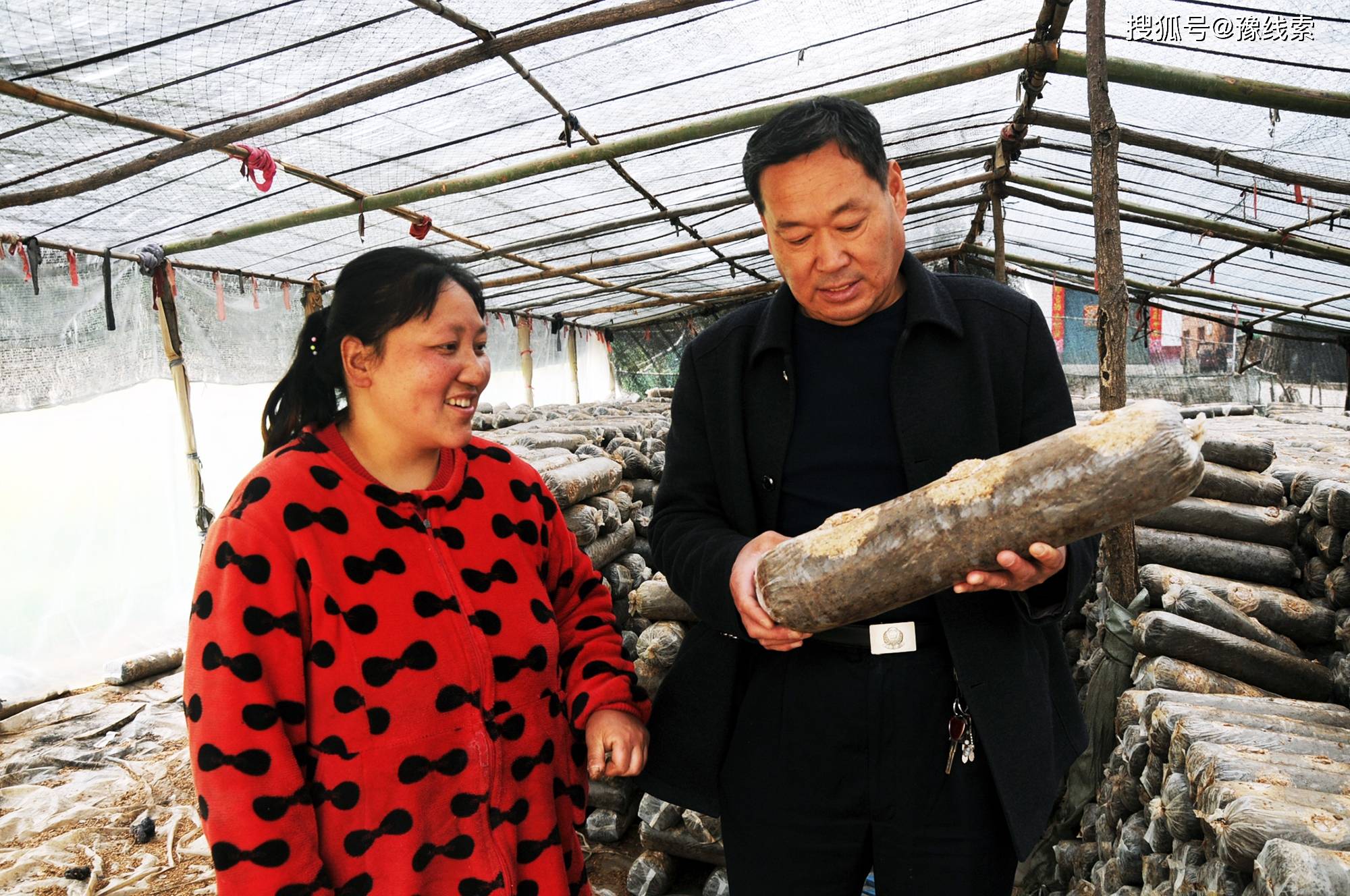 李长坤养殖种植绘新景