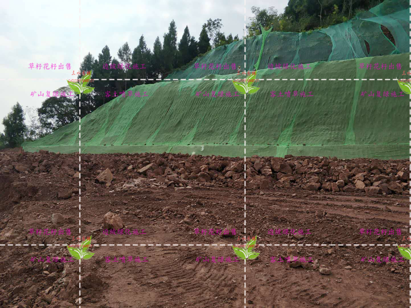 矿山复绿客土喷草路基护坡挂网喷浆施工草籽花种三维网植草边坡喷草