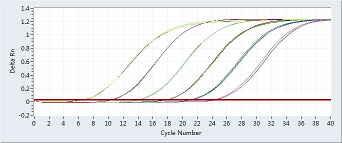 荧光定量pcr介绍_曲线_基因_样本