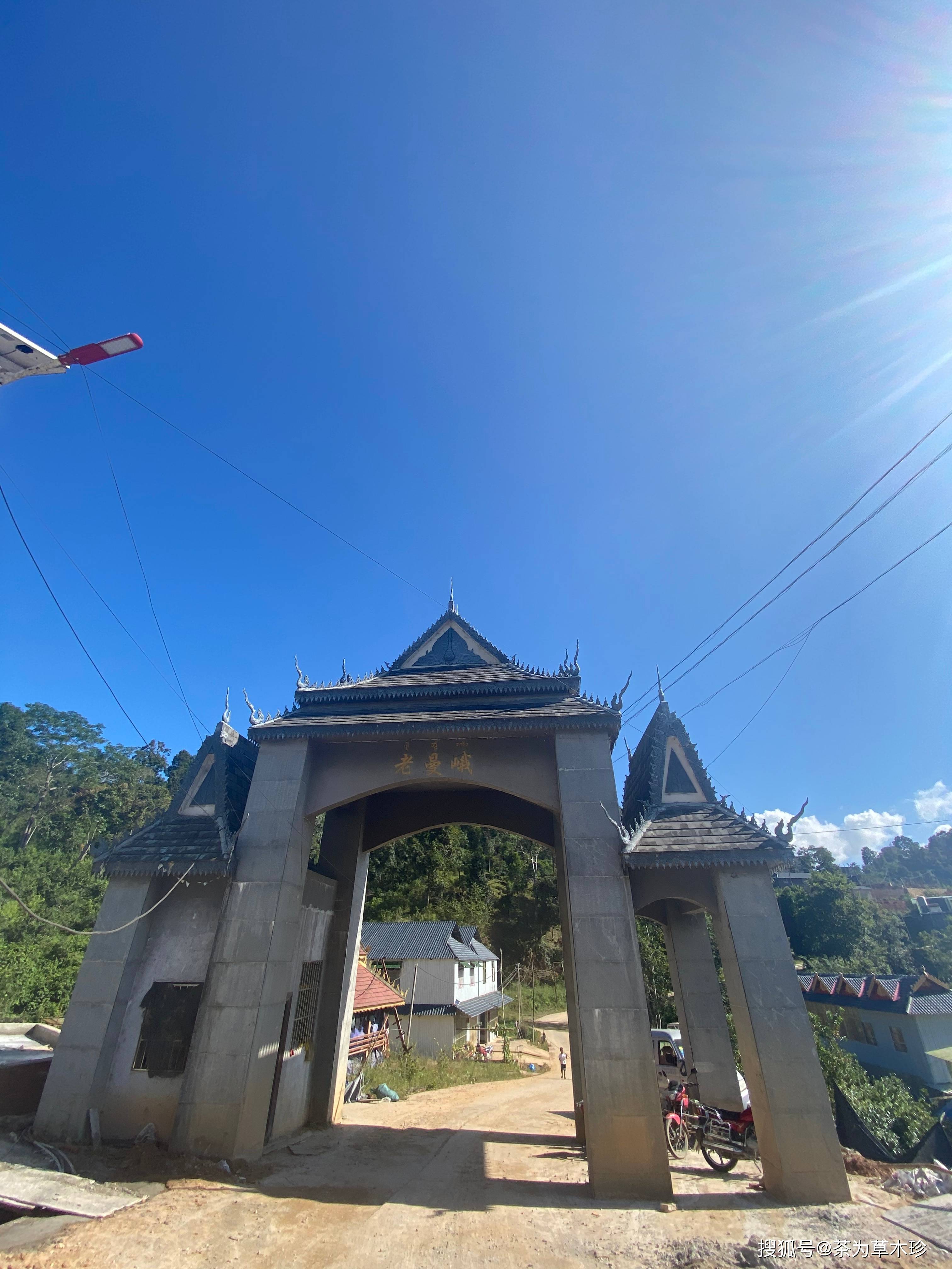 大勐龙勐宋古树茶特点苦甜交织中缅边境微小产区古茶园