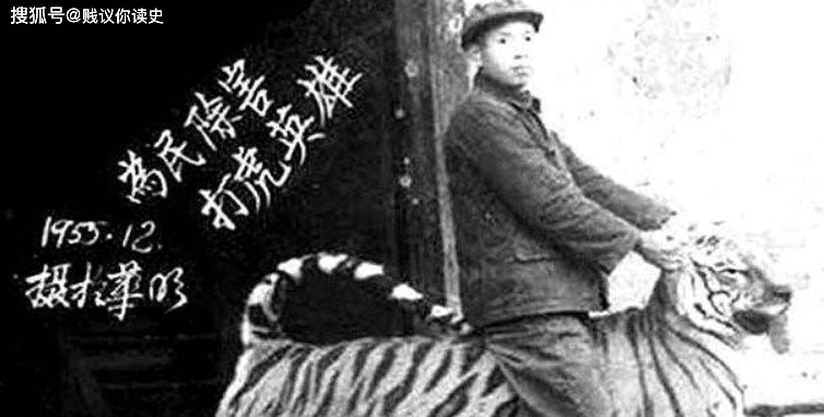 原创65年前上百只华南虎围困湖南高坪村三昼夜背后真相究竟为何