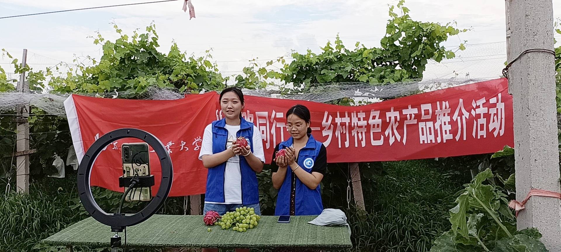 去乡下推广网站 来自搜狐网