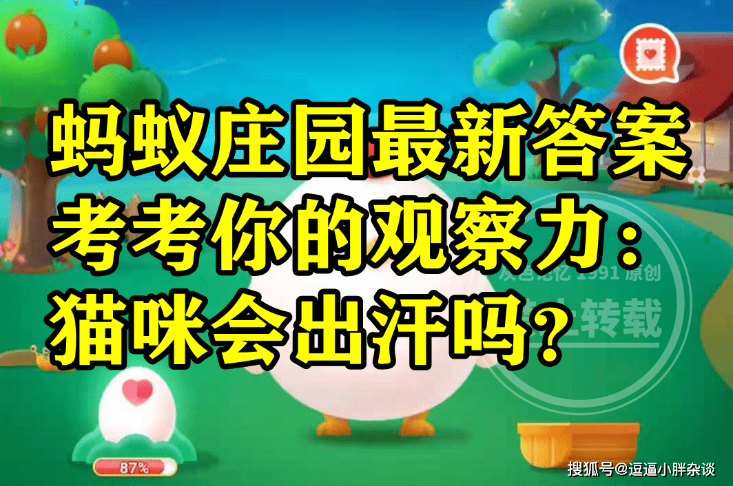 蚂蚁庄园猫咪会不会出汗谜底 考考你的察看力猫咪会出汗吗？