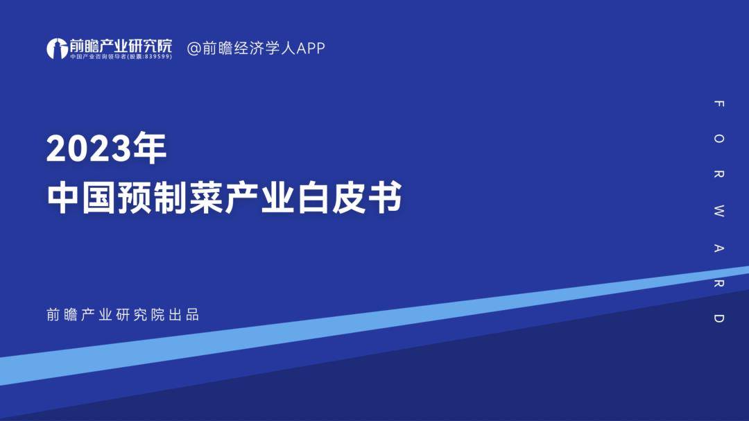 2023年中国预造菜财产白皮书（免费下载）