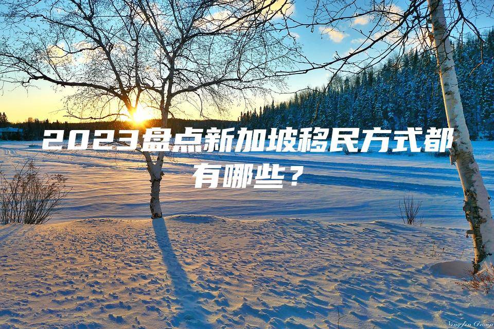 2谈球吧体育023盘点新加坡移民方式都有哪些？(图1)