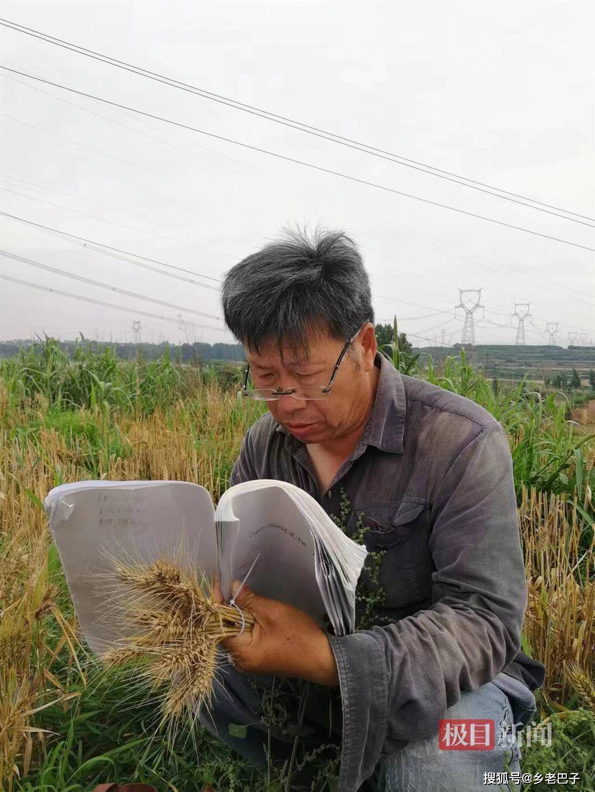 农学教授在客厅赤膊J9九游会 九游会J9筛麦种走红把论文写在大地上(图3)