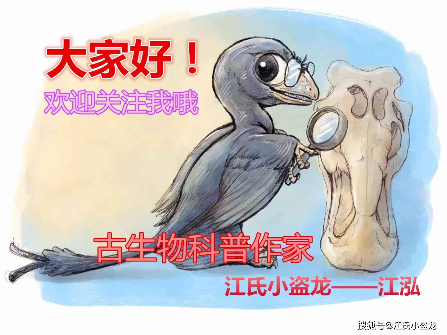 原创【史前巨鸟】远古巨鸭身高超过1.5米！