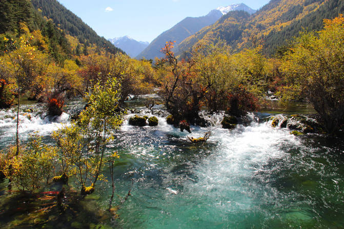 四川自助游旅游线路攻略定制，找成都当地网红个人导游，亲身体验！