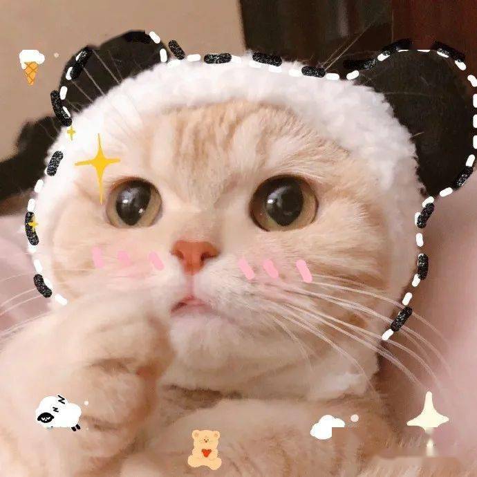 以大橘为重!橘猫真的更容易发胖吗?