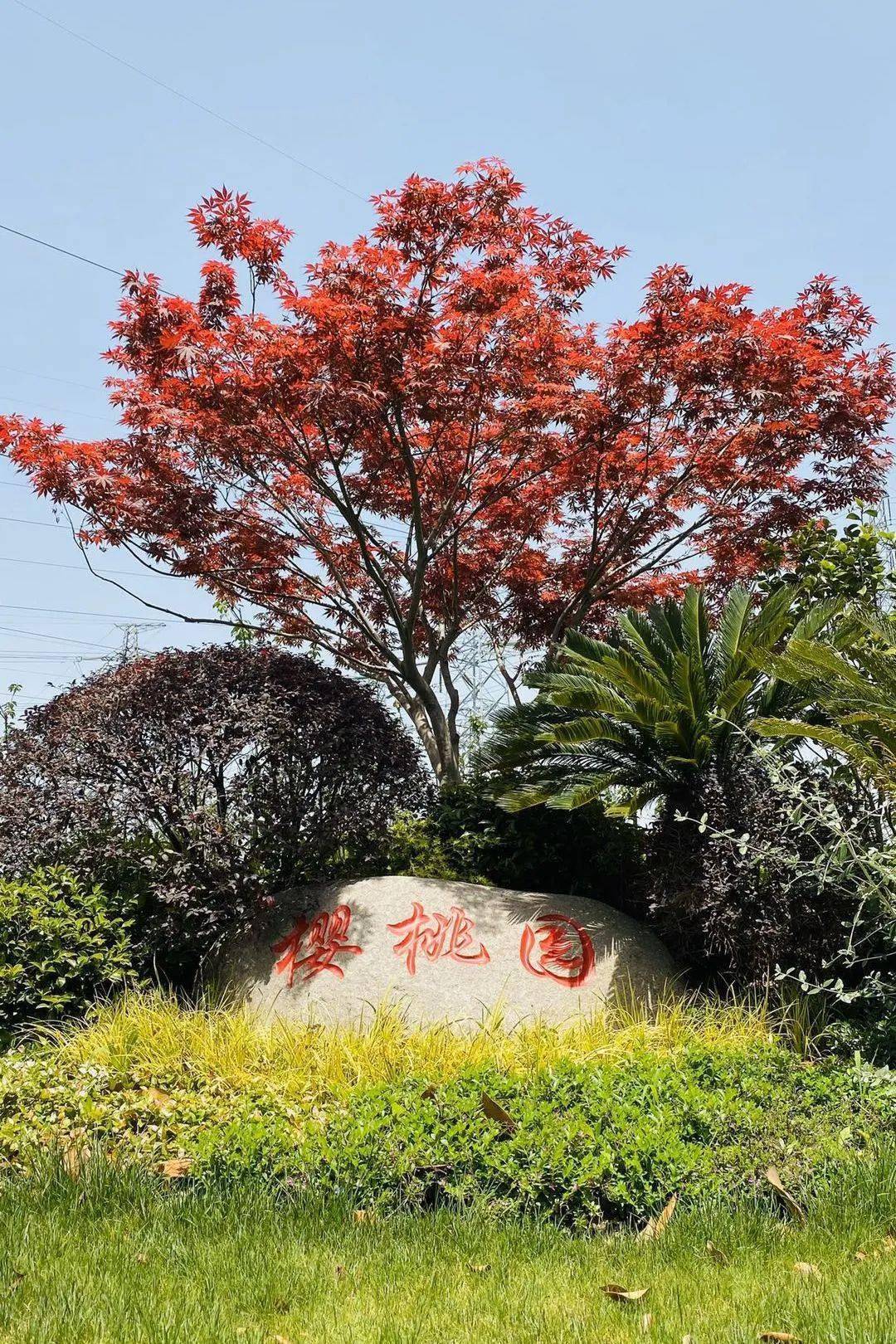 文章配图-60