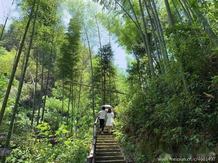 6月6日/7日:宜春栖隐谷一日游99元/人,送荔枝一箱(约)