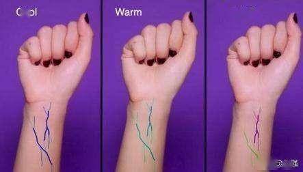 啥是黄皮黑皮 2011ac2226df462b906dfb3aee46a175.jpeg