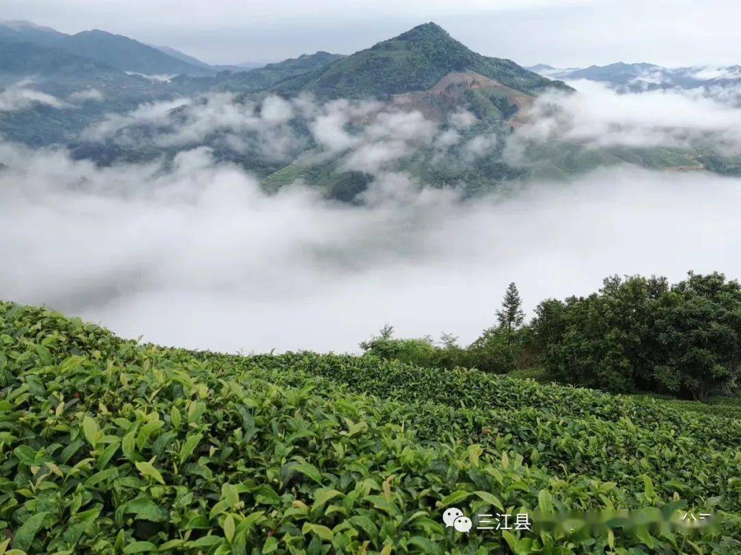 一波美景——带你走进布央仙人山景区