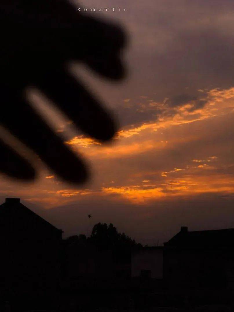 到底什么才是意难平文案 ca750279622048669359928e97aedd7d.jpeg