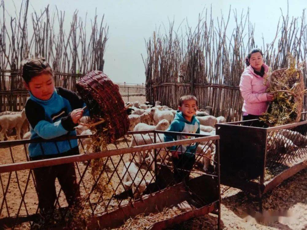乌审旗有多少人口_乌审旗地图(3)