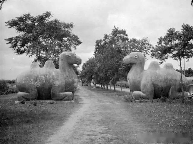 一组1935年的南京老照片灵谷塔金陵大学明孝陵等