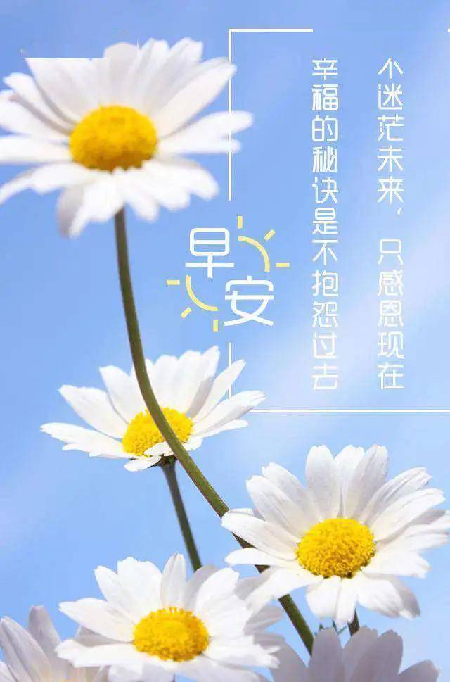 9cac62a8c62a4684b579d10371a480cb.jpeg