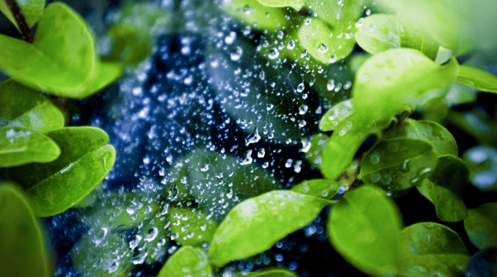 诗词夏天的雨落在了诗词里美到极致