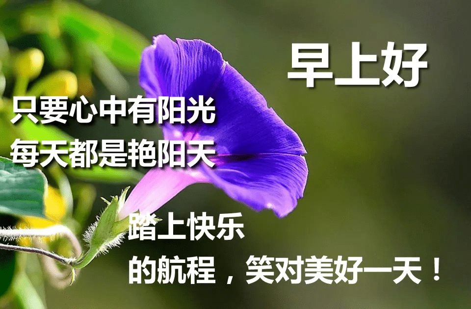 晨曲,早安!