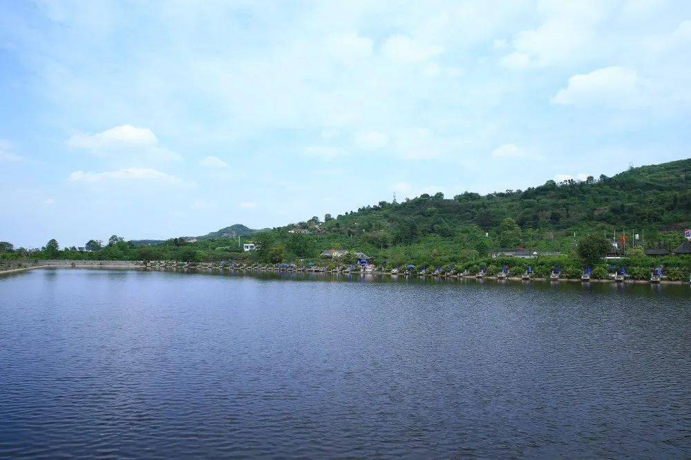 青白江区福洪小镇——特色镇川西林盘 消费场景(三)