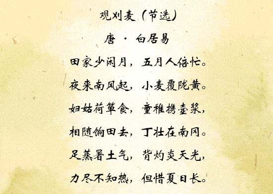 挥挥手不愿你走曲谱_挥手告别的背影图片(5)