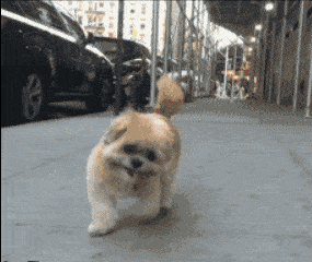 搞笑图片gif: 自己约出来的妹子, 哭着都要吃完!