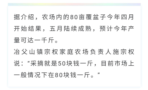 树莓简谱_树莓图片