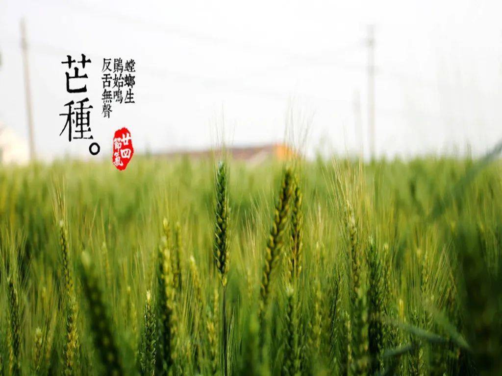 edfca62868784017a5a045e1451eb0a5.jpeg
