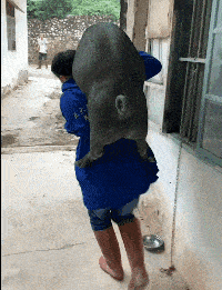 爆笑gif:哥们,你结个婚经历了啥?竟然被绑在电线杆上