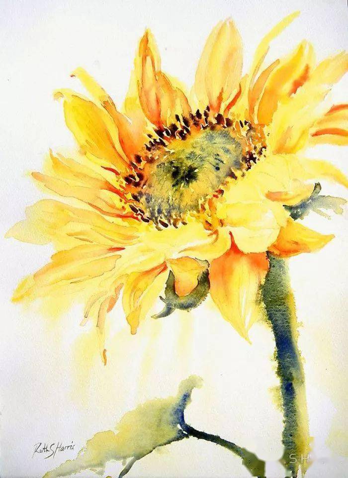 如何画太阳花大全 7f4858df186c46a0bd1a853e33209487.jpeg