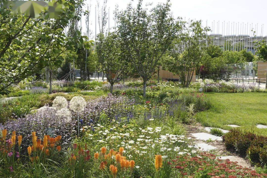 专家带你游世园丨首届北京国际花园节大学生花园花境设计竞赛落地方案