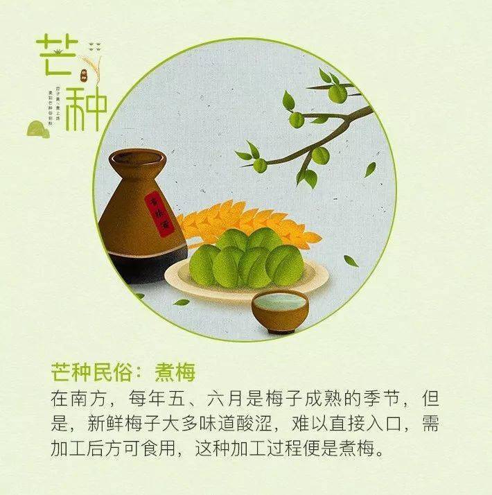 芒种有安苗(皖南农事习俗活动,祈求五谷丰登,村民平安),送花神(农历