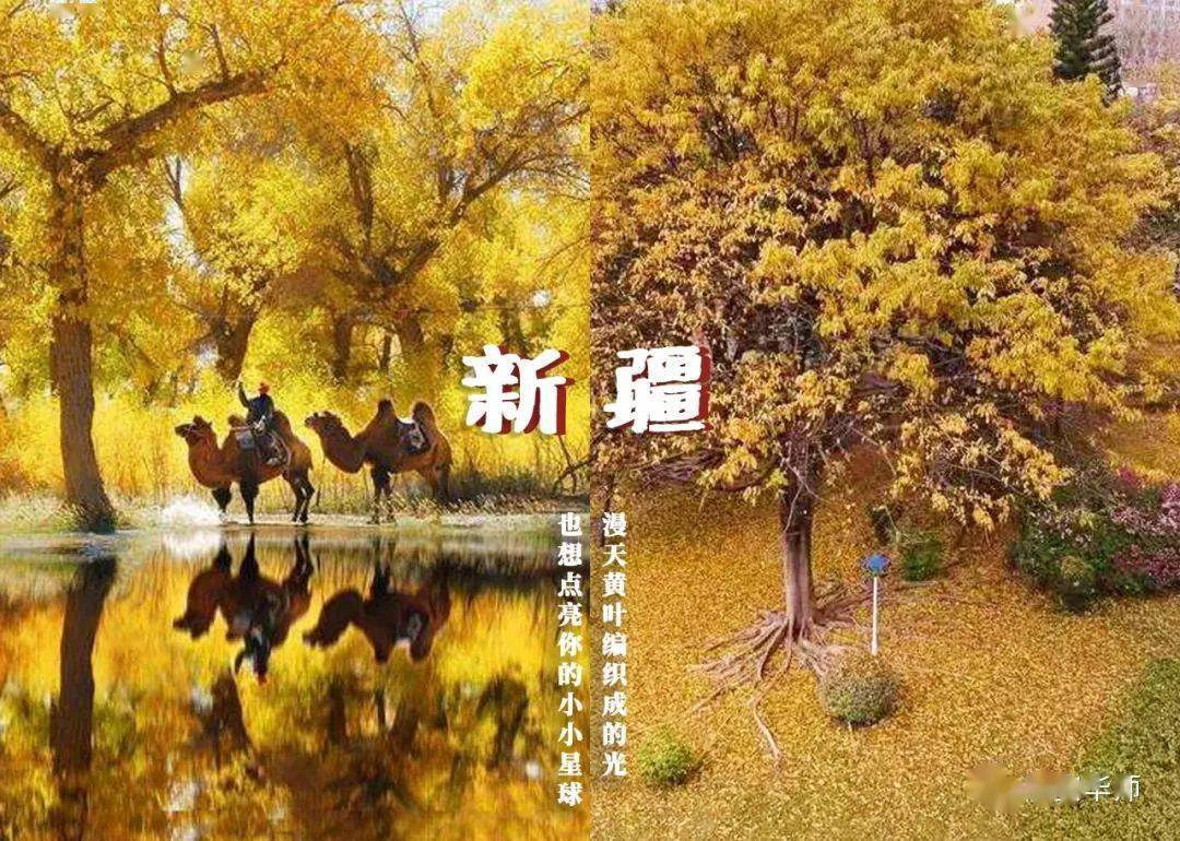 林世泉|梦想不延时华师在等你