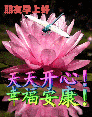 6月7日周日清晨早上好问候祝福动态表情图片 6月最新早安问候语