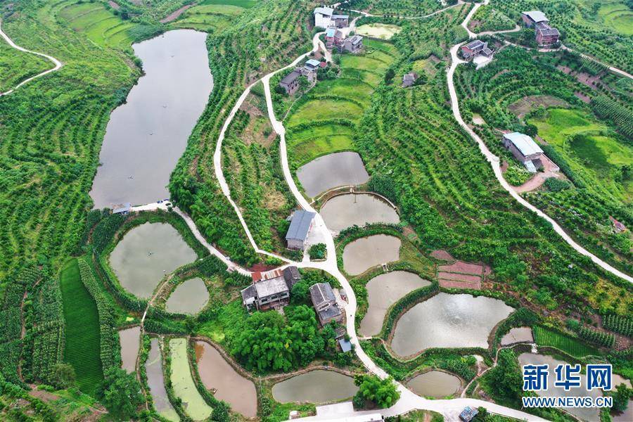 王全超|重庆：夏日山乡美