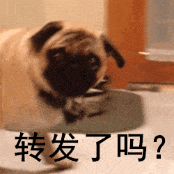 孩子|吃再多也难长肉别总给孩子吃粥、面条了！忽视这几点