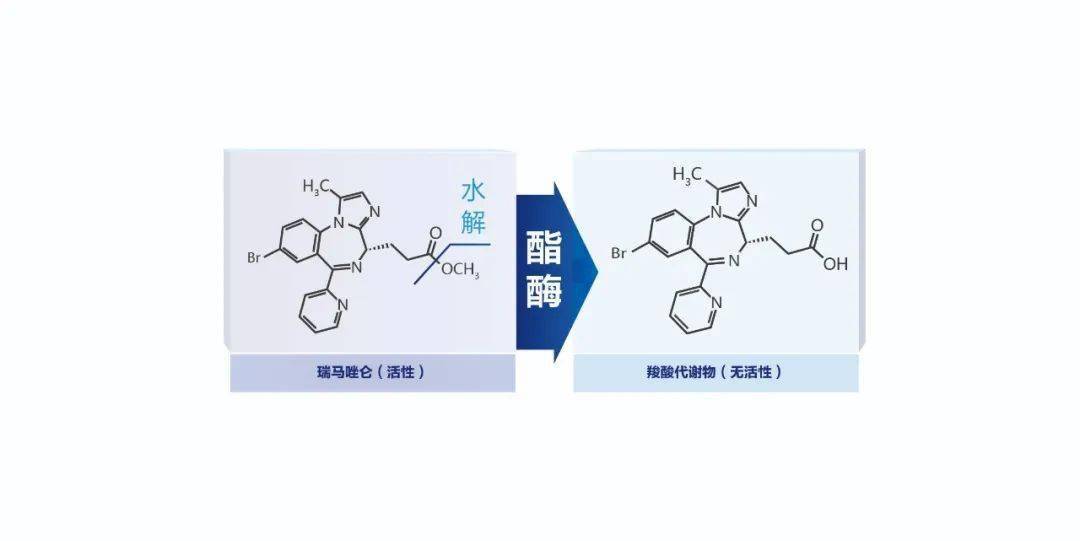 苯磺酸瑞马唑仑即将获批上市,全球同步1.1类新药,新在