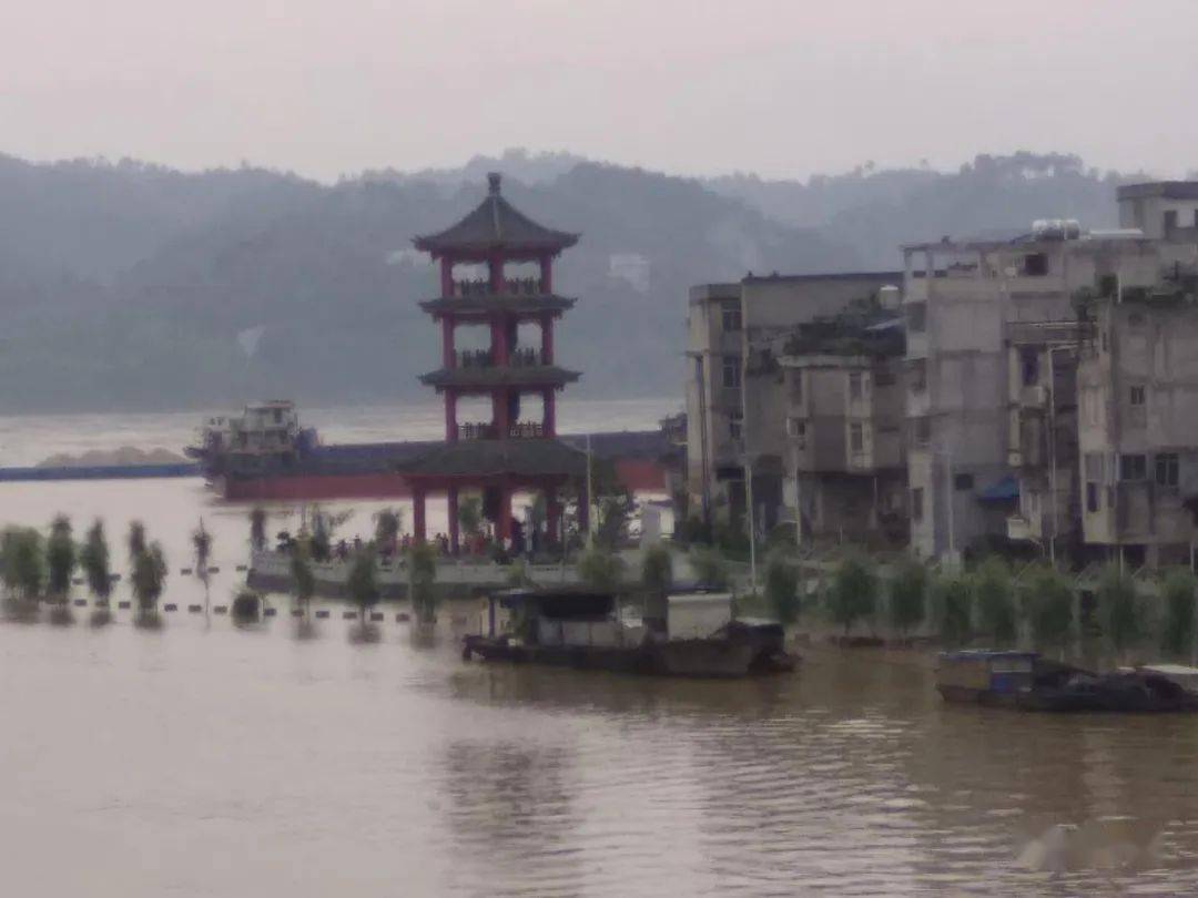 今天上午,洪水已经浸没濛江镇河西角嘴码头的新河堤!